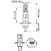 H1/W5W 12V 55W P14,5s WhiteVision Ultra 2 St. Philips | 2-STK Doppelpackung | 12258WVUSM