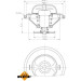 Thermostat, Kühlmittel | 725070