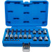 BGS Bit-Einsatz-Satz | Antrieb Innenvierkant 6,3 mm (1/4"""") / 12,5 mm (1/2"""") | T-Profil (für Torx) | 18-tlg | 5173