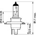 GLÜHLAMPE H4 24V/75/70W MASTERDUTY BLUEVISION P43T 2SZT | PH13342MDBVS2