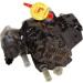 Verteiler-Einspritzpumpe | RENAULT Espace | 0 986 437 301