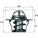 Thermostateinsatz mit Dichtung | FORD 1,0-1,3/MAZ 2.0D 84-91 | TX 4 92D