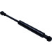 Gasfeder, Motorhaube | 229343 Gasfeder, Motorhaube | 229343