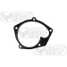 PA 1087 Wasserpumpe | RENAULT Megane,Laguna 05 | PA1087