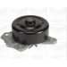 PA 1020 Wasserpumpe | CITROEN C1,TOYOTA Aygo | PA1020