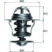 Thermostateinsatz mit Dichtung | FORD FocusI/II,ModeoI/II/IV | TX 12 88D