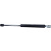 Gasfeder, Hinten L=381 745N | NISSAN Micra C+C (K12) 1.6 SR 05 | 595605 Gasfeder, Hinten L=381 745N | NISSAN Micra C+C (K12) 1.6 SR 05 | 595605