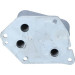 Ölkühler, Motor“L | 31159 Ölkühler, Motor“L | 31159