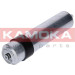 KAMOKA Kraftstofffilter | F316601