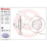 80 481 020 Bremsscheibe VA | HYUNDAI Accent,i10,i20,KIA Rio 05 | 09.A445.10