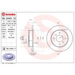 85 482 002 Bremsscheibe HA | NISSAN Almera,Primera 90 | 08.5443.10