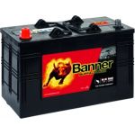 BANNER Buffalo Bull 12V | wartungsfrei nach DIN | 10610480101