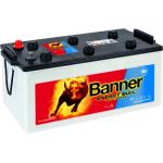 BANNER Energy Bull | Langzeitentladung 12V Boote | 10968010101