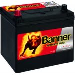 BANNER PowerBull | absolut Wartungsfrei | 13560690101