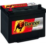 BANNER PowerBull | absolut Wartungsfrei | 13570240101