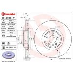 Bremsscheibe VA | LAND ROVER | 09.C820.11