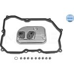 Hydraulikfiltersatz,Automatikgetr | AUDI,VW Passat 07 | 1001370005