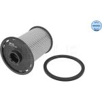 Kraftstofffilter Nissan 1.9Dci | 36-14 323 0011