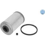 Kraftstofffilter Renault 2.5Dci | 614 323 0003