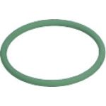 O-Ring | Diverse | F 01M 100 050