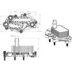 Ölkühler, Motor“L | 31842