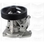 PA 1121 Wasserpumpe | FORD Transit VII 2,4 TDCI 00 | PA1121