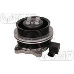 PA 1379 Wasserpumpe | AUDI,SKODA,VW 1.4 TSI 05 | PA1379