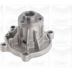 PA 855 Wasserpumpe | SEAT,SKODA,VW Polo 01 | PA855