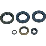 Satz Motoröldichtungssatz. Moto. Ktm Egs 400 / Wp / Egs-E 1996-1998 | 731A128SR