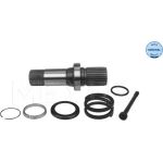 Steckwelle | VW T5 03 | 1004980243
