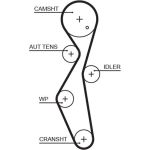 Steuerriemen | Citroen,Fiat ,Ford ,Peugeot 06 | 5672XS