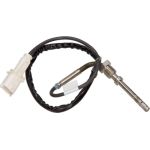 Temperatursensor Auspuff Iveco Daily (06-11) | 69502946