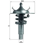 Thermostateinsatz mit Dichtung | MERCEDES W203,W211 1.8/2.0i Kompr | TX 106 90D