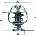 Thermostateinsatz mit Dichtung | TOYOTA Land Cruiser 84 | TX 177 82D