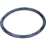 Wasserpumpendichtung VW Golf (98-13) (53X4mm) | 06A121119