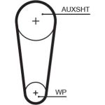 Zahnriemen | AUDI,SEAT,SKODA,VW 12 | 5683XS