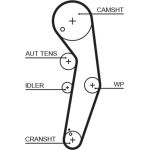 Zahnriemen | AUDI,SEAT,SKODA,VW Tdi | 5569XS