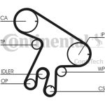 Zahnriemen | CT1043