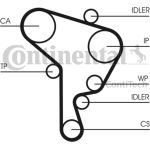 Zahnriemen | CT1044