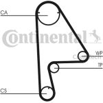 Zahnriemen | CT863