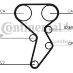 Zahnriemen | CT879