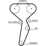 Zahnriemen | DACIA,RENAULT,NISSAN,LADA | 5671XS