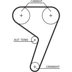 Zahnriemen | FORD FIESTA IV 1.25 i 16V | 5433XS